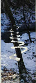 E.Goldsvortas. Ledo spiralė ant medžio. Proceso menas