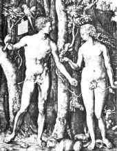A.Diureris. Adomas ir Ieva. 16 a.
