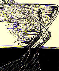 St.Krasauskas. A.Baltakio eilėraščių rinkinio "Pėsčias paukštis"  iliustracija. 1968-69