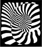 Zebrai