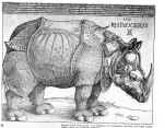 A.Diureris. Raganosis. 1515